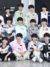TF家族四代