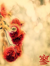 寥