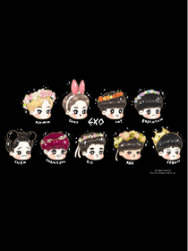 最初的梦想:EXO