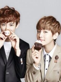 exo13颗星