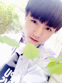TFBOYS之總裁別太猛