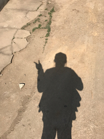 努力加油