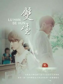 我的傻瓜