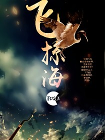 網(wǎng)王之飛鳥掠海
