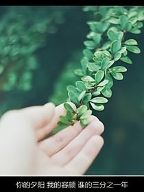 被束缚的爱情