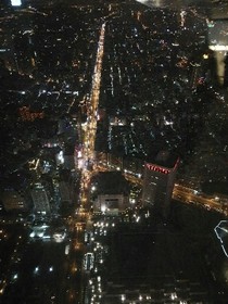 该爱还是不该爱