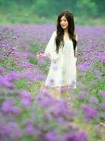熏衣草精靈與四葉草