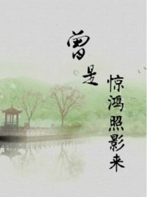 《曾是惊鸿照影来》