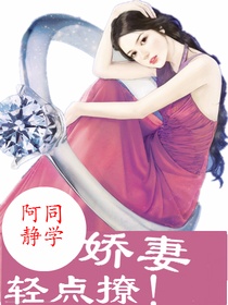 娇妻18