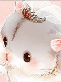 滅鼠行動