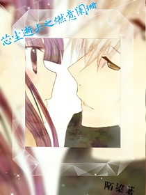芯塵逝去之燃意闌珊