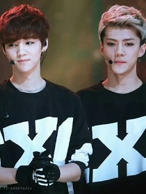 EXO之矢光