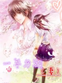 一年为期(妻)