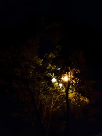 禅林的生活