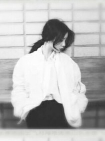 蝴蝶花风彩