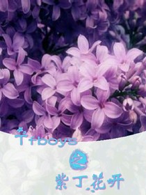 Tfboys之紫丁花開(kāi)