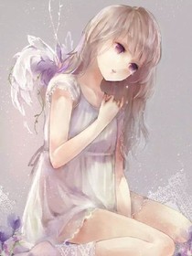 檀蝶淚