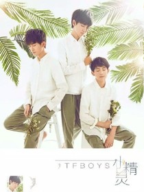 tfboys之三小只的宠儿