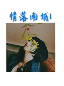 情落南城