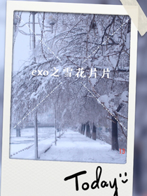 exo之雪花片片