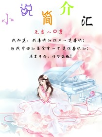 小说简介汇