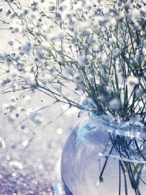 满天星下的约定