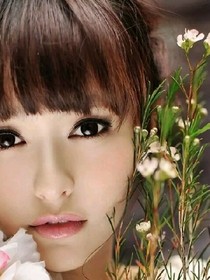 從新愛陌