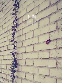 喜欢你，不需要理由