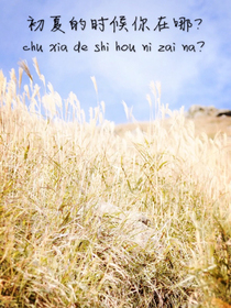 初夏的时候你在哪？