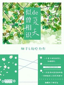似曾相识的夏天