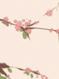 如茉莉一般的校園