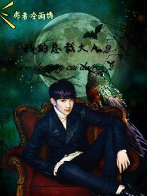 我的總裁大人2