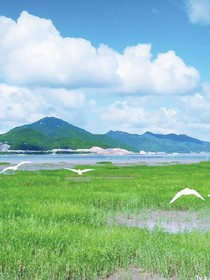誰(shuí)的青春不言殤