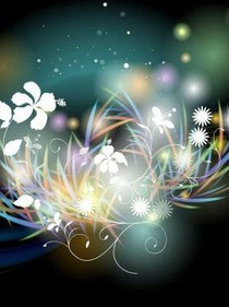 花开的声音1314