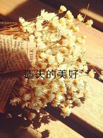 EXO之恋蝶