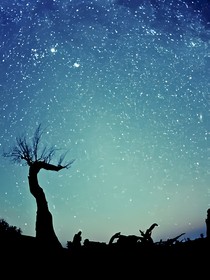 繁星七月