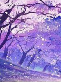 复仇之梦