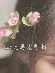 exo之所颖合体：再次见到