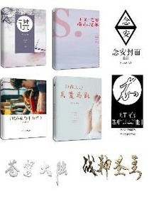 念安封面