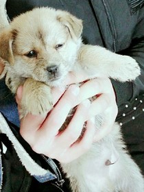 對不起，喜歡你