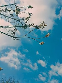 如果时光停在那年