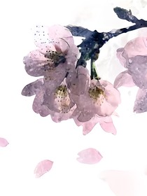 人間滄桑，心中暖流