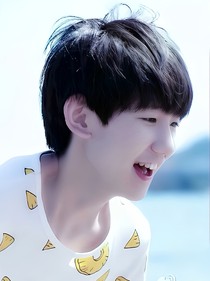 tfboys之花季绽放