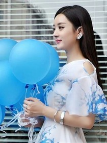 丽颖自传