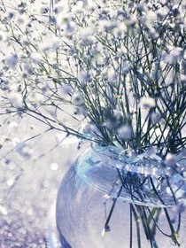 易烊千璽之滿天星的約定