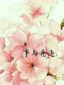 事与愿违.