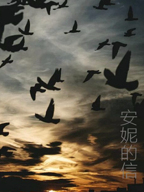 安妮的信