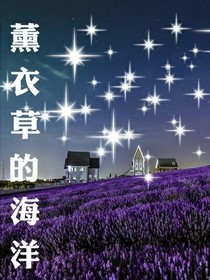 薰衣草的海洋