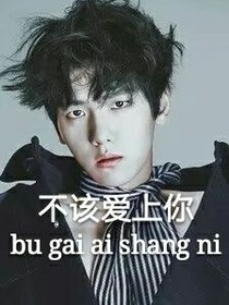 边伯贤之不该爱上你