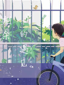 剩余的遇见